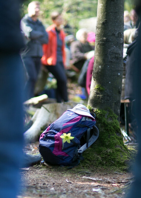 Rucksack am Baum